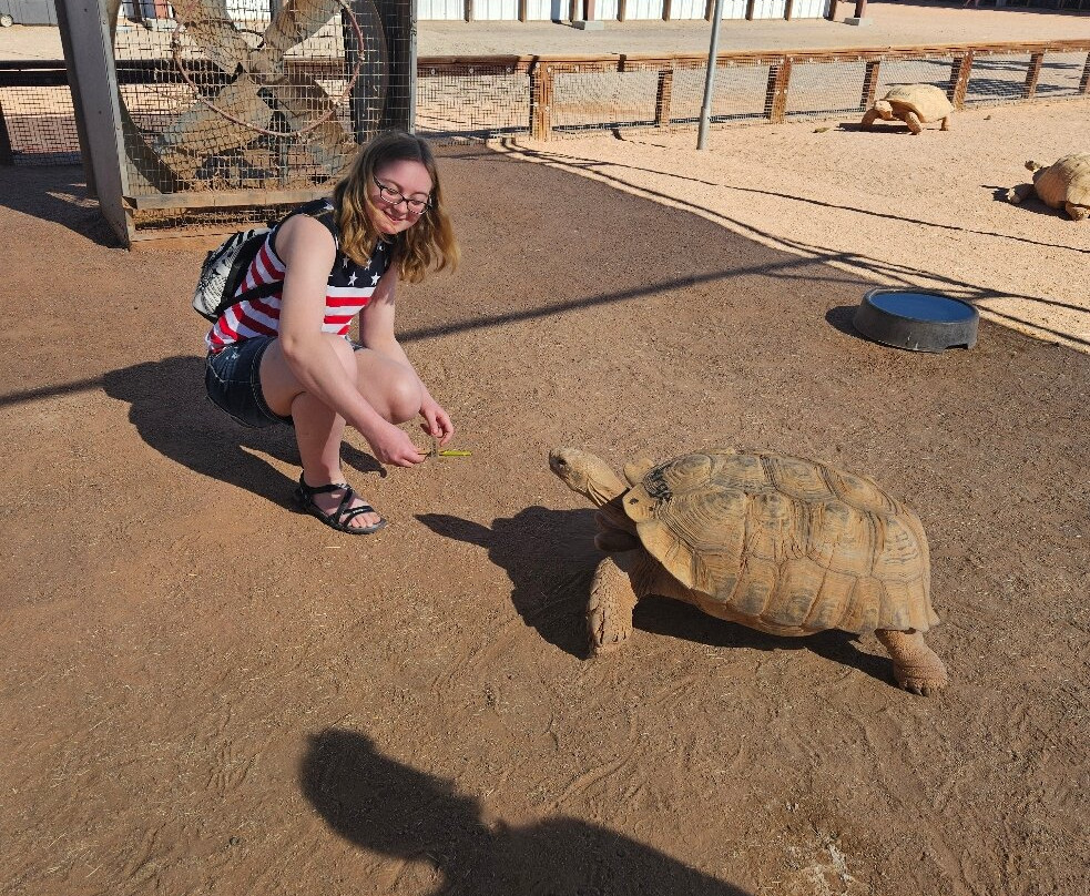 Rooster Cogburn Ostrich Ranch-Picacho必去景点