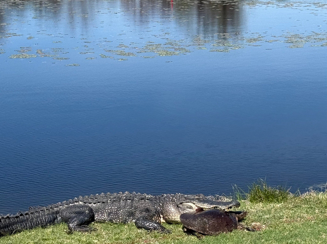 Jekyll Island Golf Club-吉柯岛必去景点