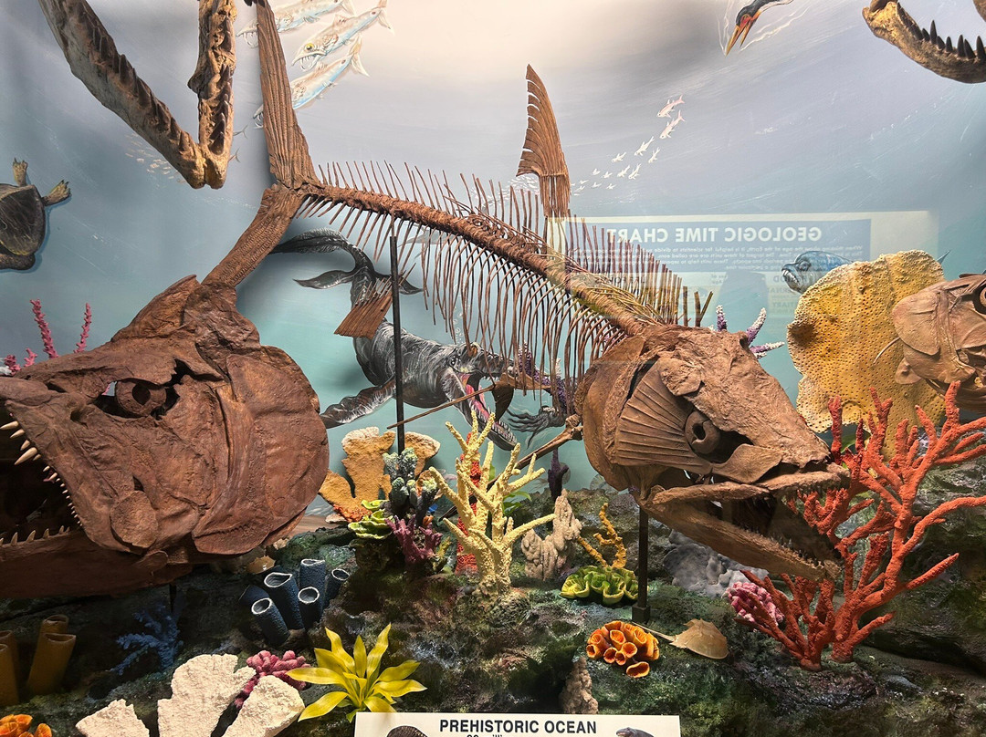 The Dinosaur Store-可可海滩必去景点
