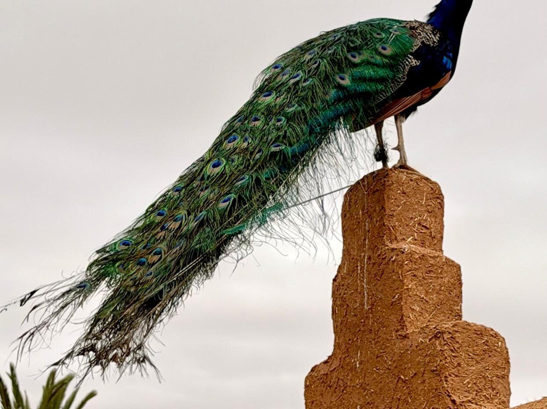 游牧住宿加早餐旅馆主图