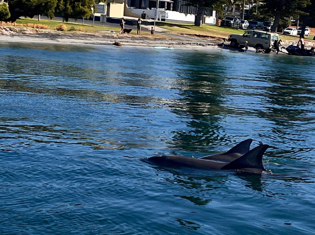 Augusta River tours-奥古斯塔必去景点