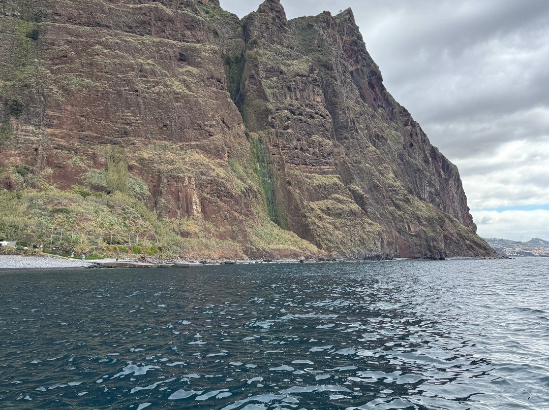 Vip Dolphins-沙尔必去景点