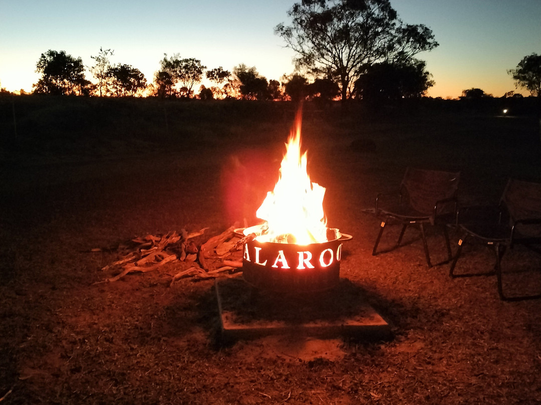 Talaroo Hot Springs-Mount Surprise必去景点