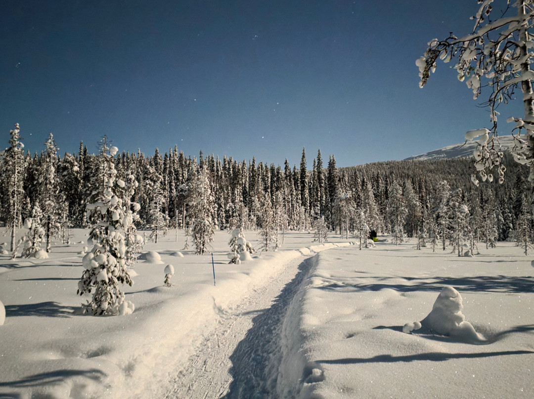 Lapland Safaris Yllas-Akaslompolo必去景点