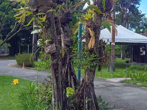 伊斯科拉河景酒店主图