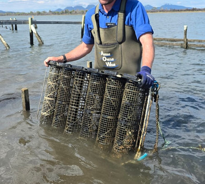 Oyster Bay Tours-科尔斯湾必去景点