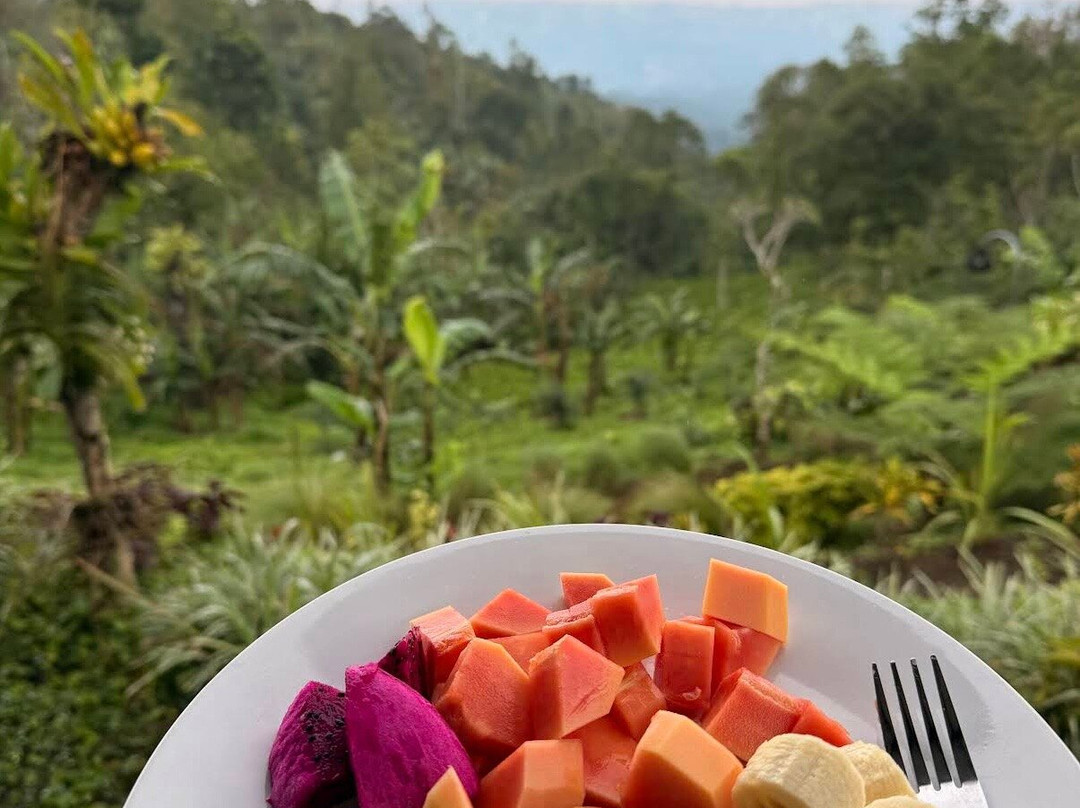 Guide Francais BALI ( Yanik FBALI)-乌布必去景点