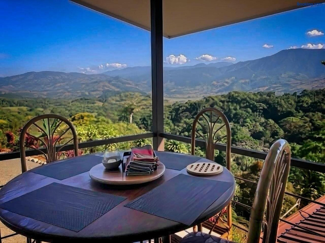 Luxury in The Jungle