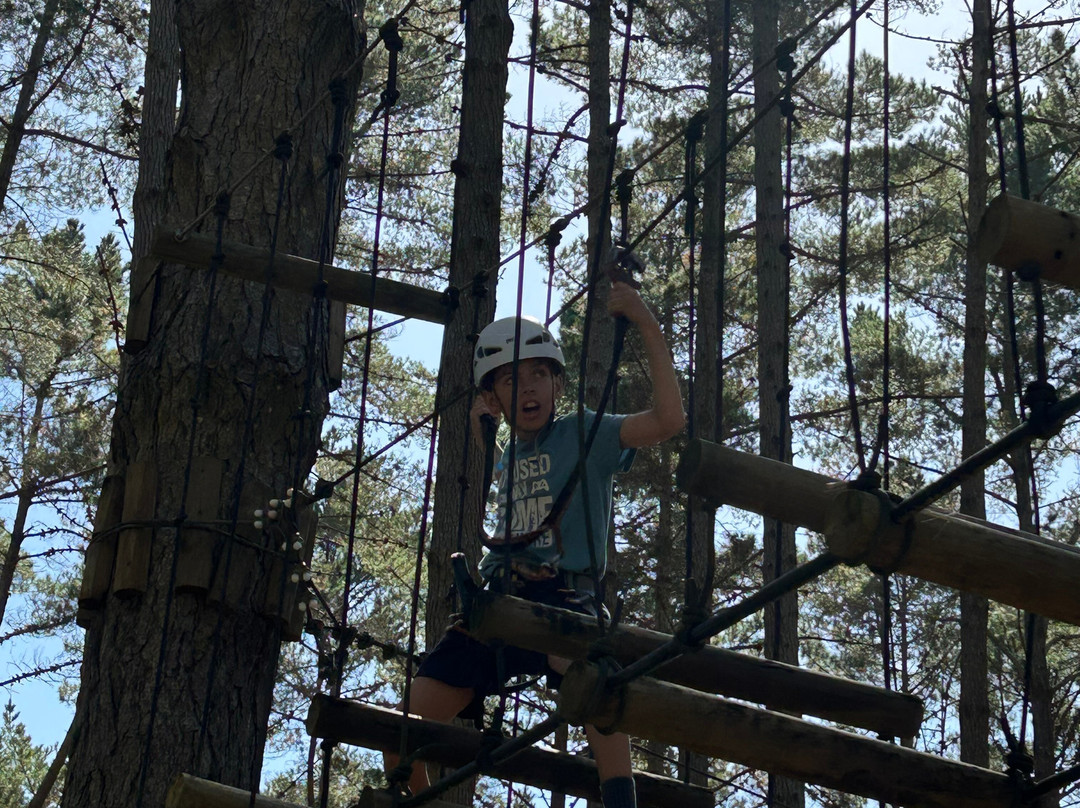 Tree Adventures-伍德山必去景点