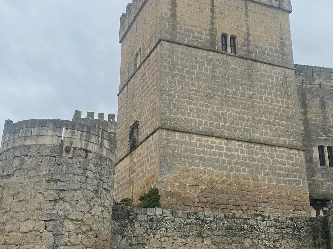Castillo de Ampudia-Ampudia必去景点