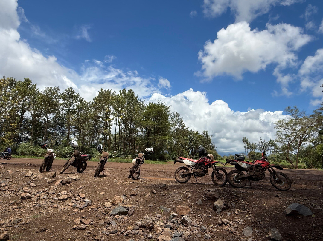 Aventure Safaris-蒙巴萨必去景点