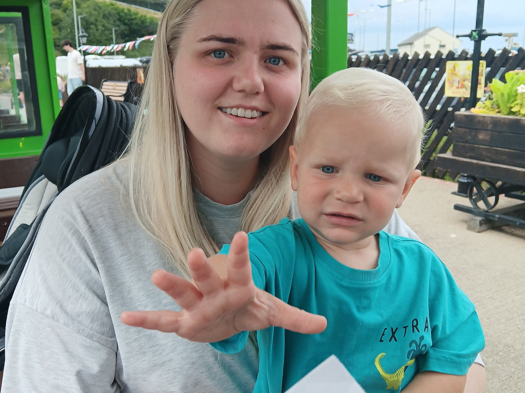 Saltburn Miniature Railway Ltd-Saltburn-by-the-Sea必去景点