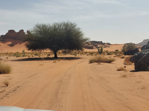 Immesoukal Voyages-Djanet必去景点