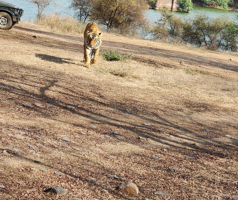 Rifa Tours India - Private Day Tour-瑟瓦伊马托布尔必去景点