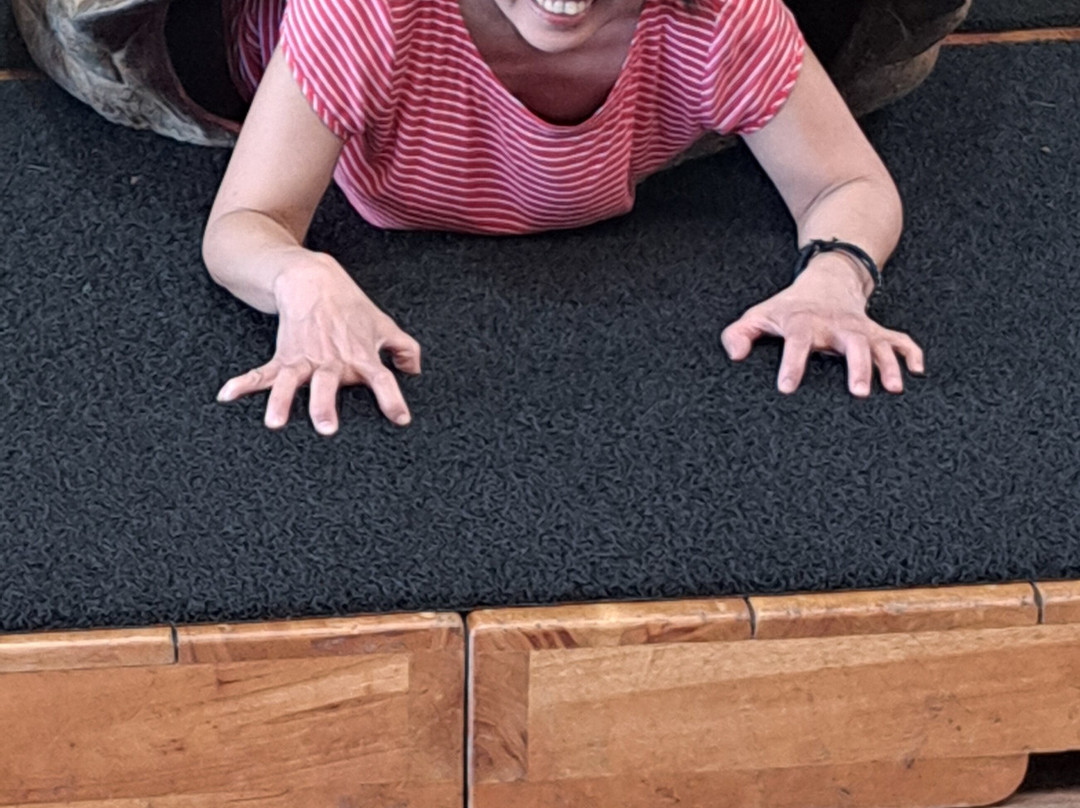 Smart Galapagos-阿约拉港必去景点