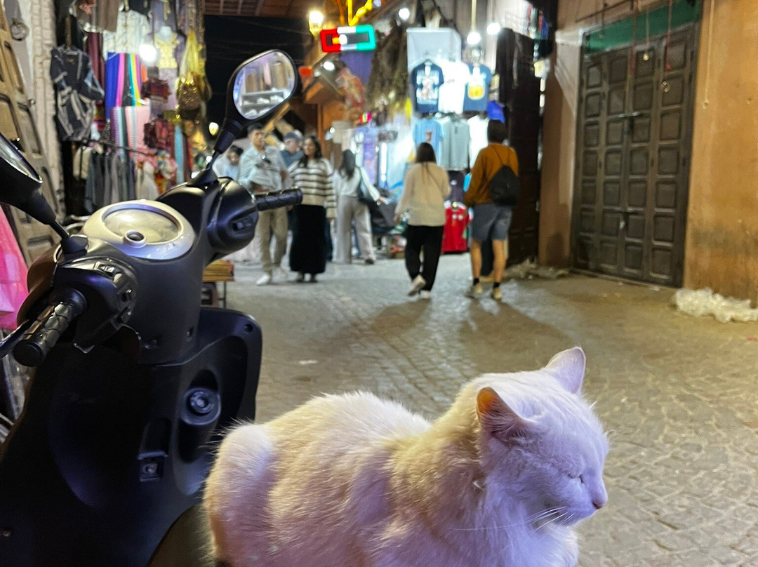 Holiday Morocco Tours-卡萨布兰卡必去景点