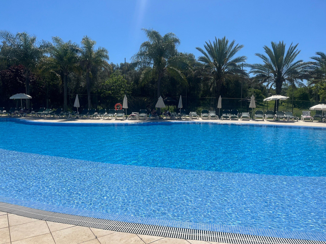 导航者 - 棕榈绿洲阿尔沃