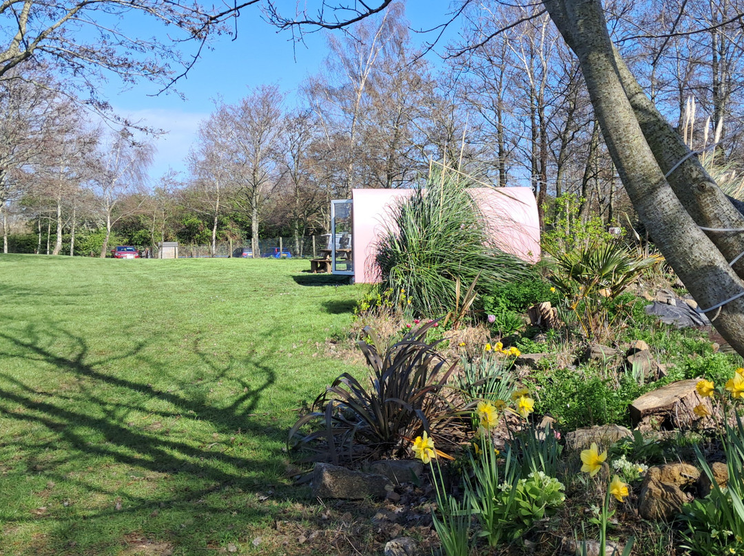 Burton Springs Fishing and Holidays-布里奇沃特必去景点