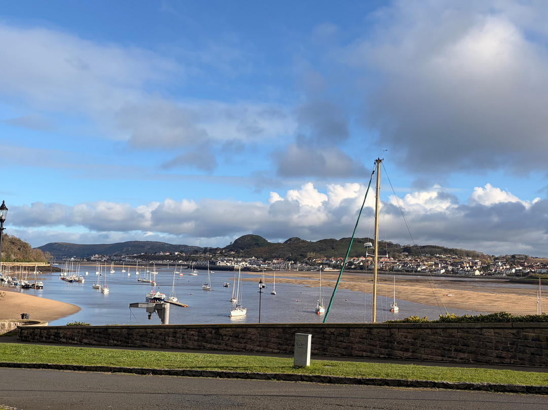 Gwynfryn Bed and Breakfast主图