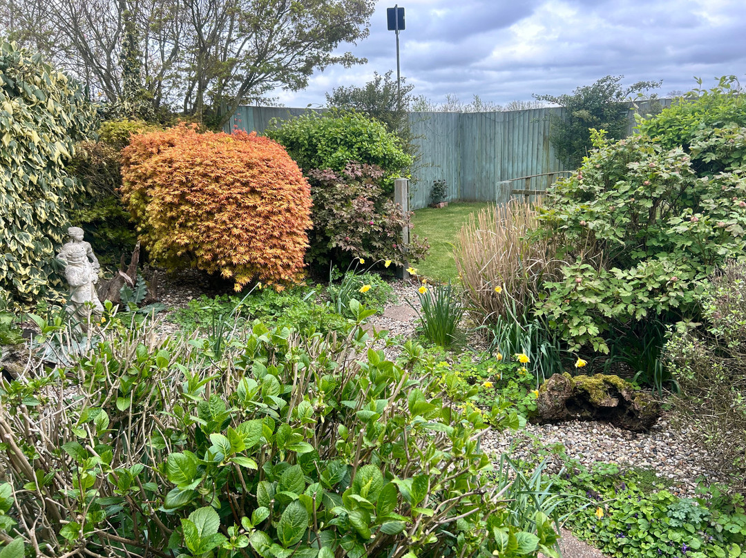 雉鸡乡村民宿主图