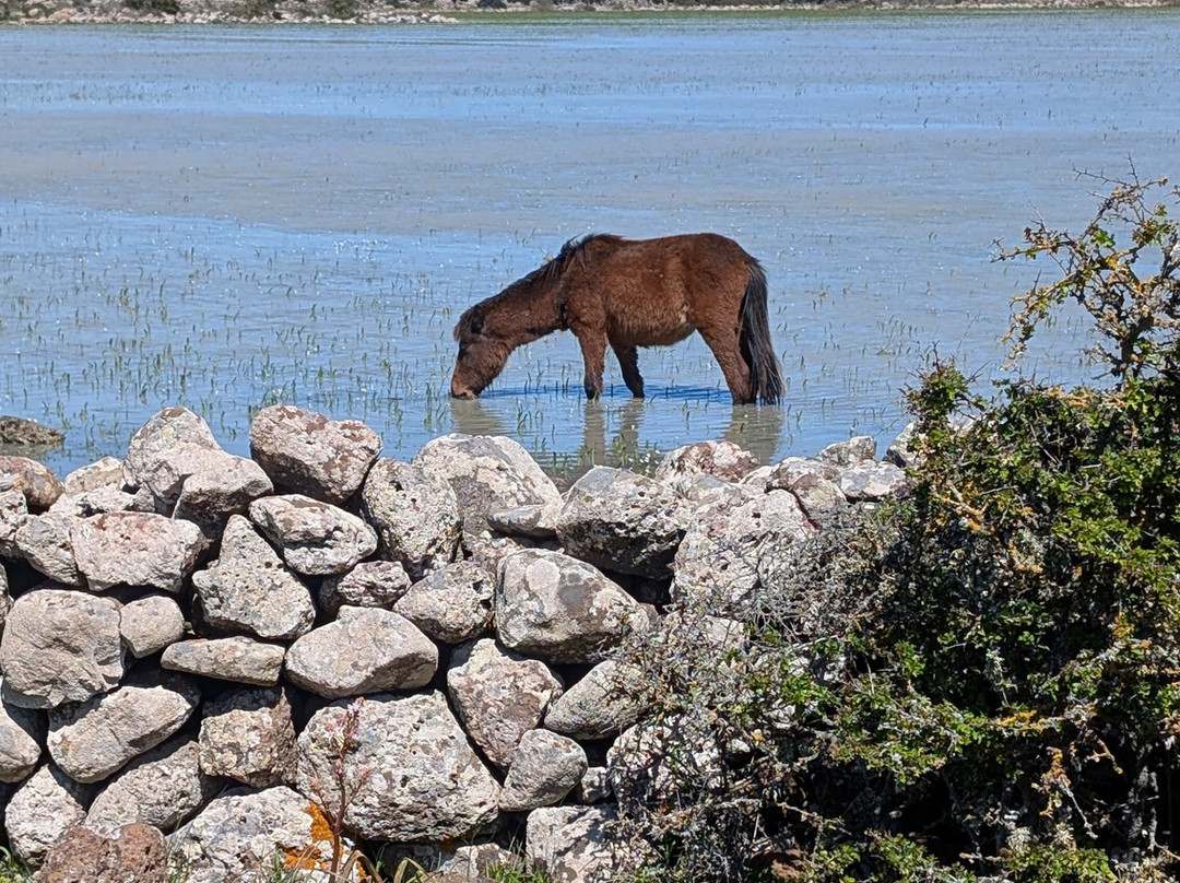 Vivisardinia-Collinas必去景点