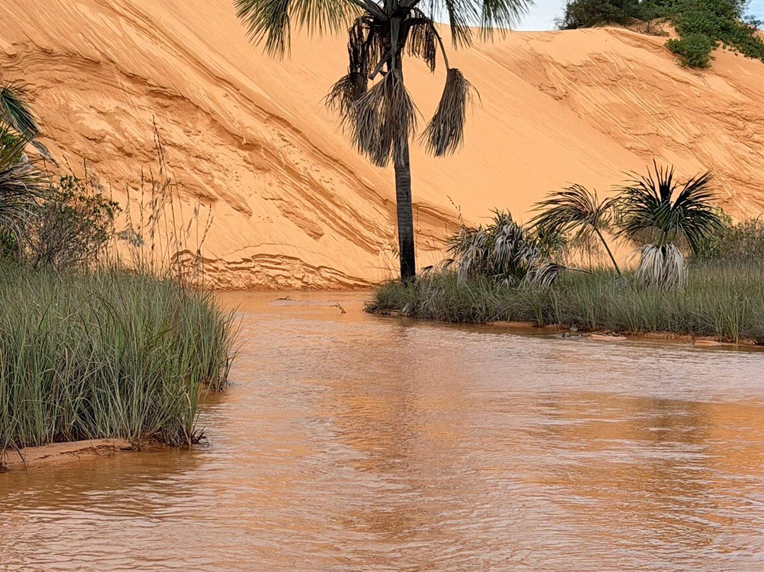 Cenario Nativo Expedicoes-Mateiros必去景点