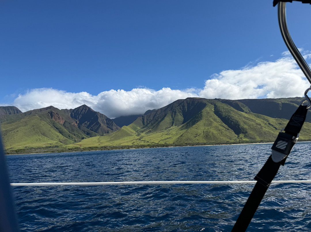 Maui Custom Charters-玛阿拉也亚必去景点