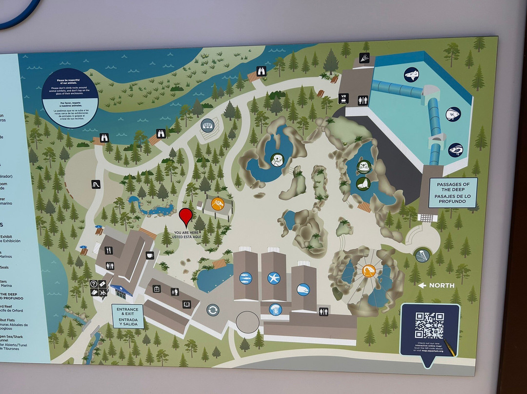 Oregon Coast Aquarium-纽波特必去景点