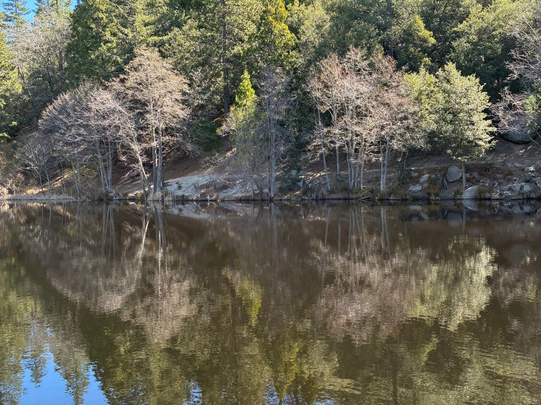 Lake Fulmor-Idyllwild必去景点