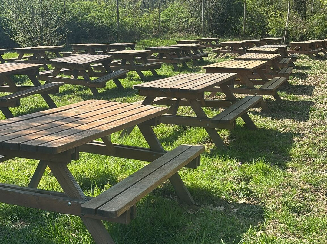 Cascina Oslera-Robassomero必去景点