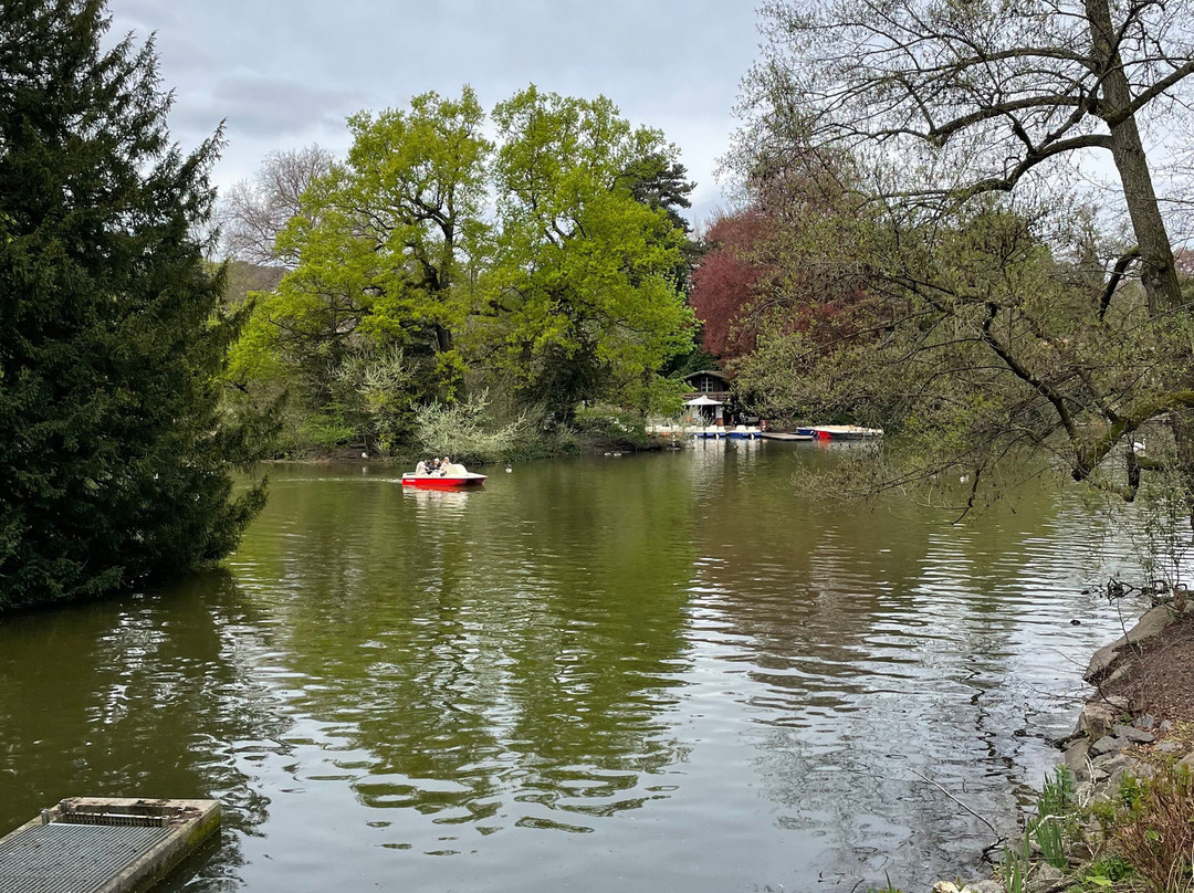 棕榈树公园-法兰克福必去景点