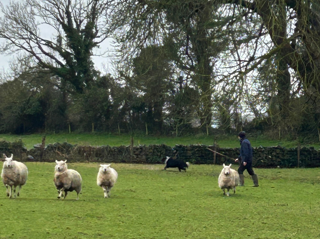 Explore With Spike-底特律必去景点