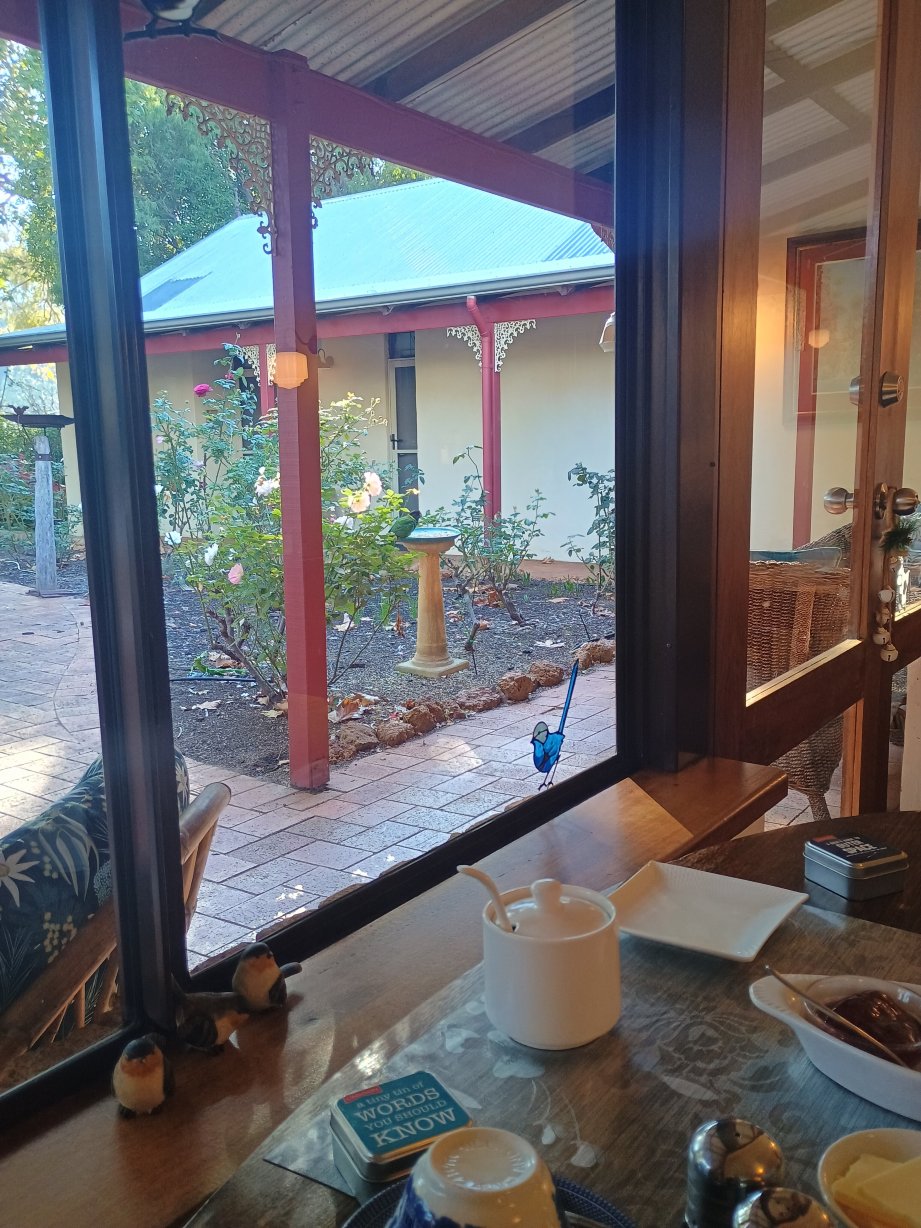 诺贝尔葡萄宾客酒店-旅行者