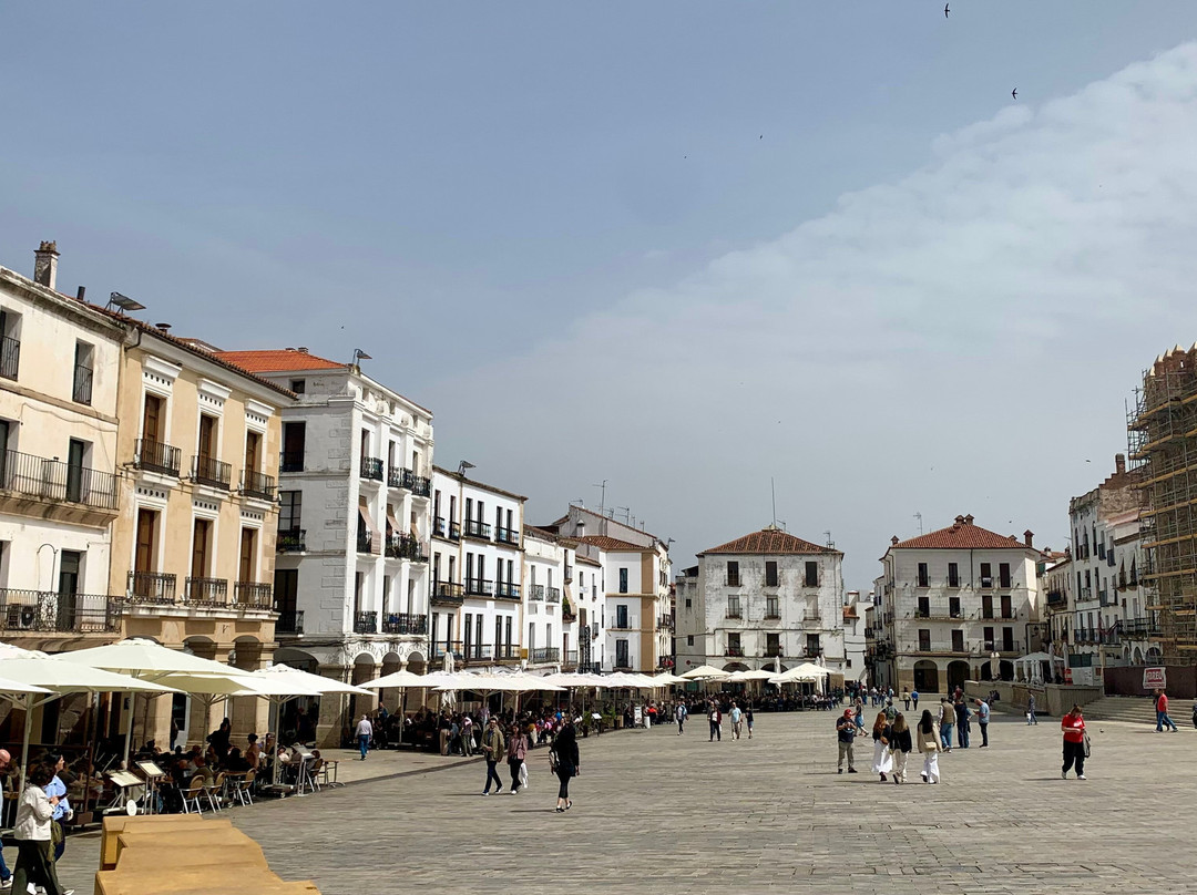 Spain Free Tours - Free Tour Cáceres-卡塞雷斯必去景点