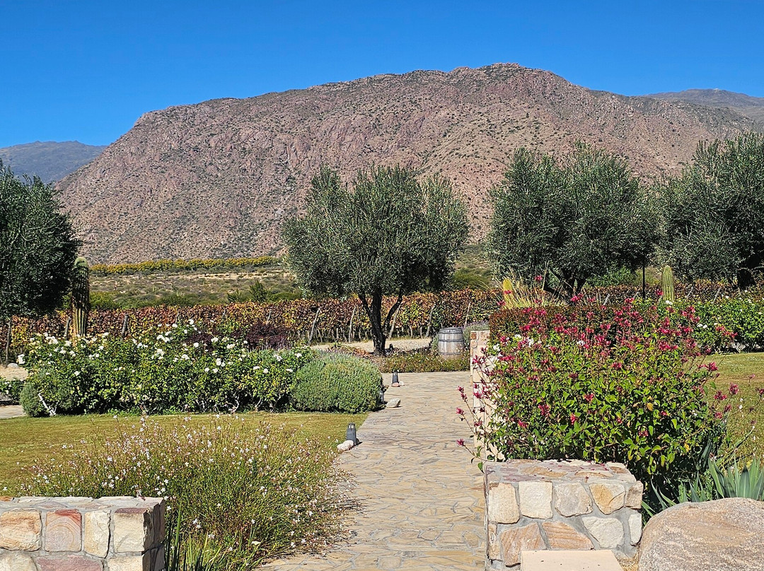 皮亚特列酒店度假村主图