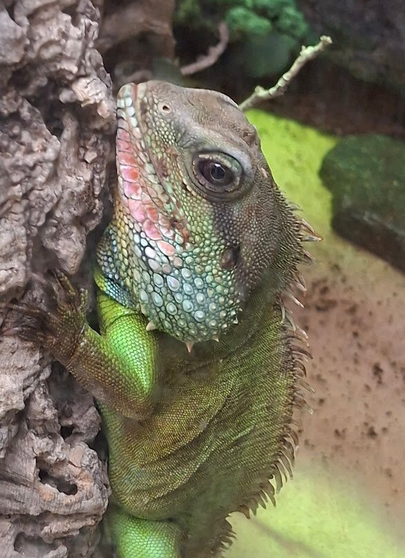 Casa delle Farfalle-Bordano必去景点
