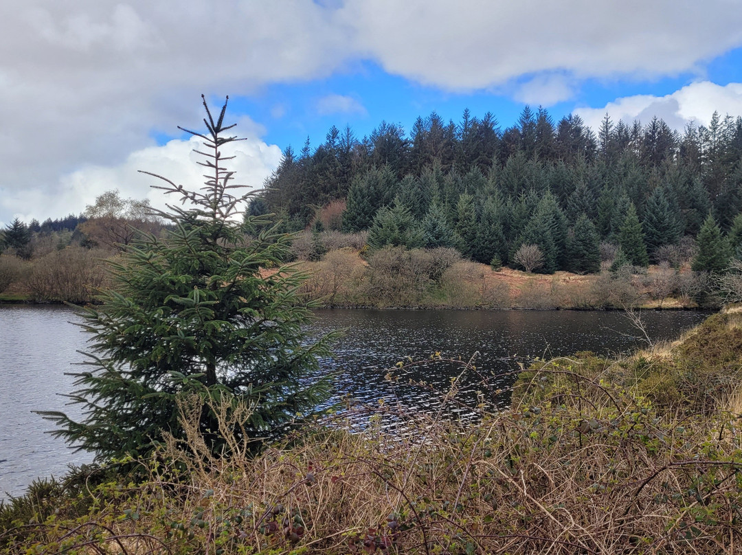 Fernworthy Reservoir-Chagford必去景点