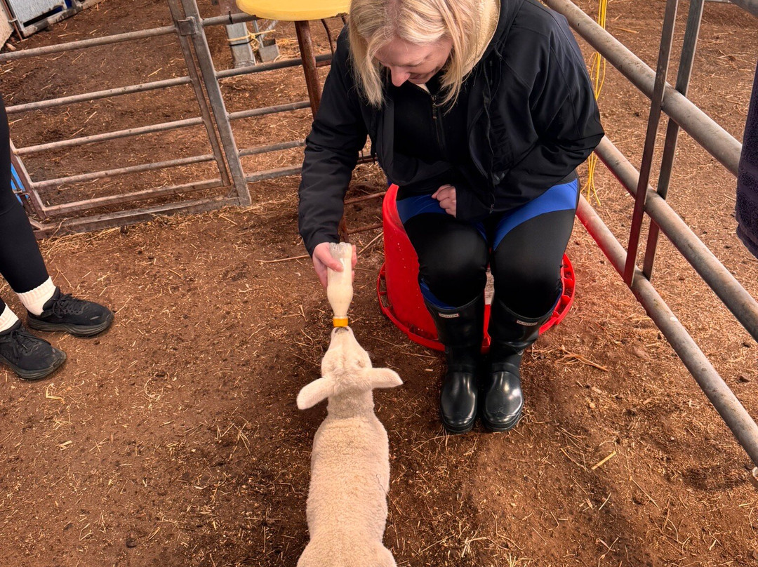 Kilmacolm Farm Tours-Cairncurran必去景点