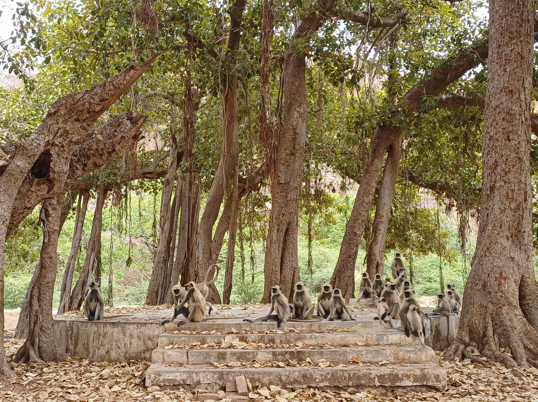 Travel India with Himmat-新德里必去景点