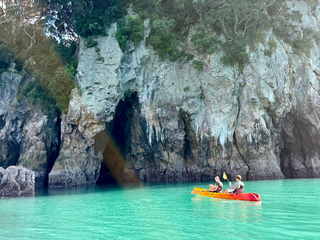 Pedal and Paddle-瓦卡马塔必去景点