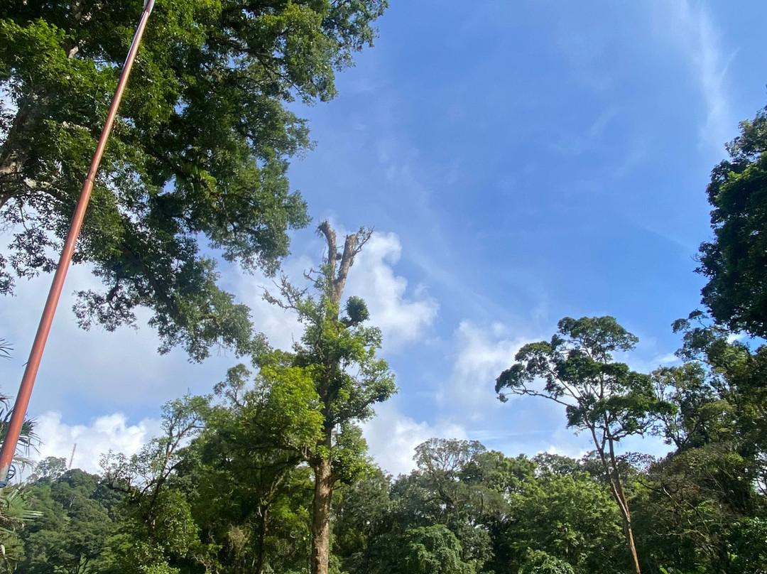 Tamblingan Jungle Trek And Lake Canoe Expedition-Buleleng必去景点