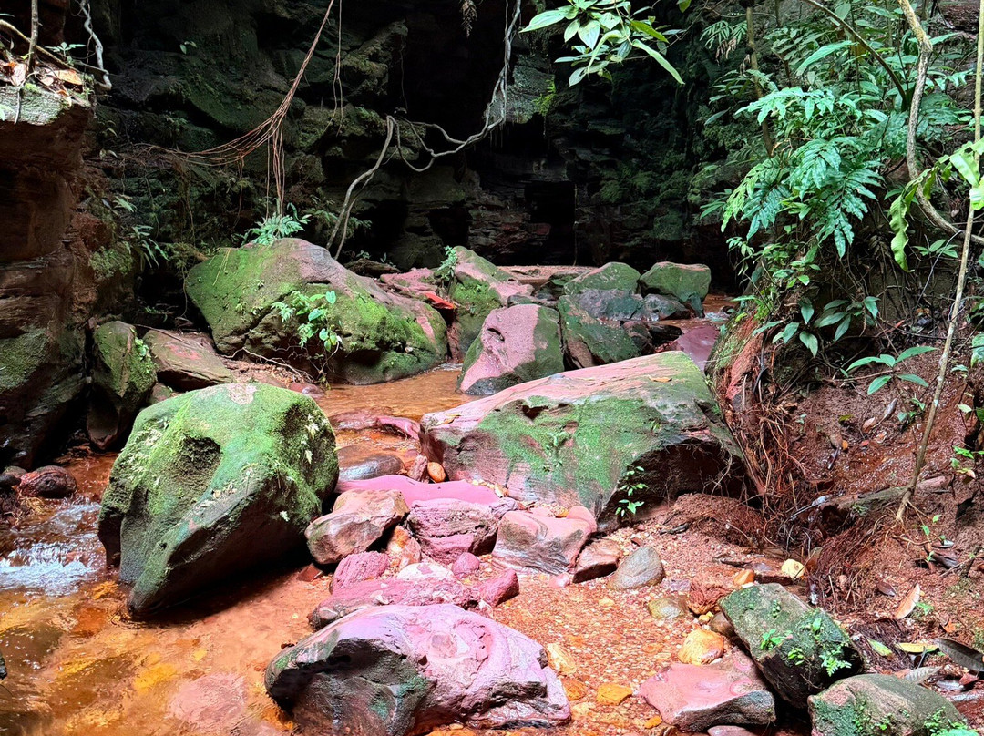 Cerrado Dourado Expedições-Jalapao State Park必去景点