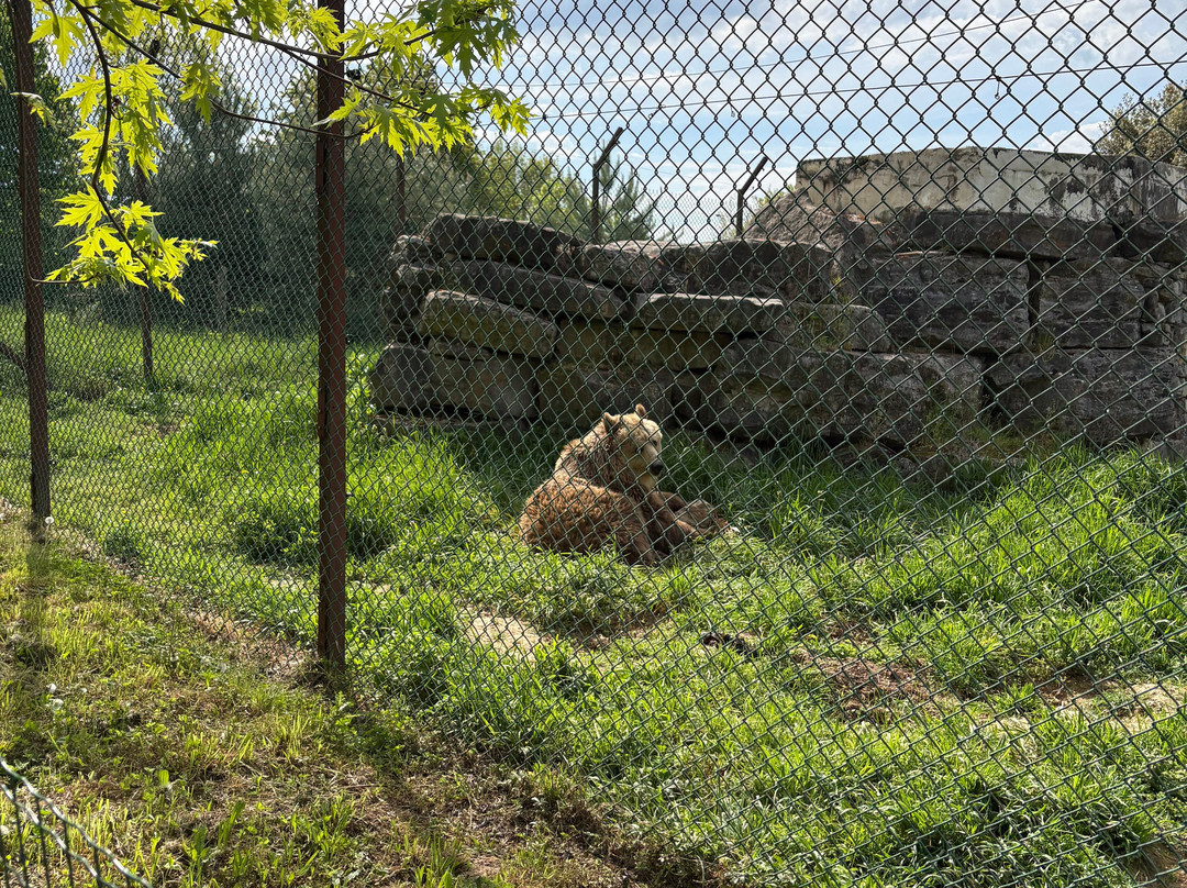 Parc Animalier de Pradinas-Pradinas必去景点