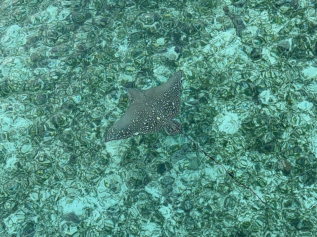 马尔代夫贾瓦卡拉群岛酒店主图