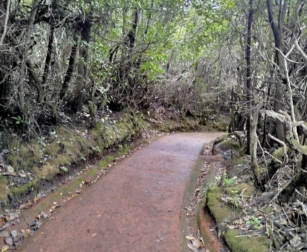 Poas Volcano-Poas Volcano National Park必去景点