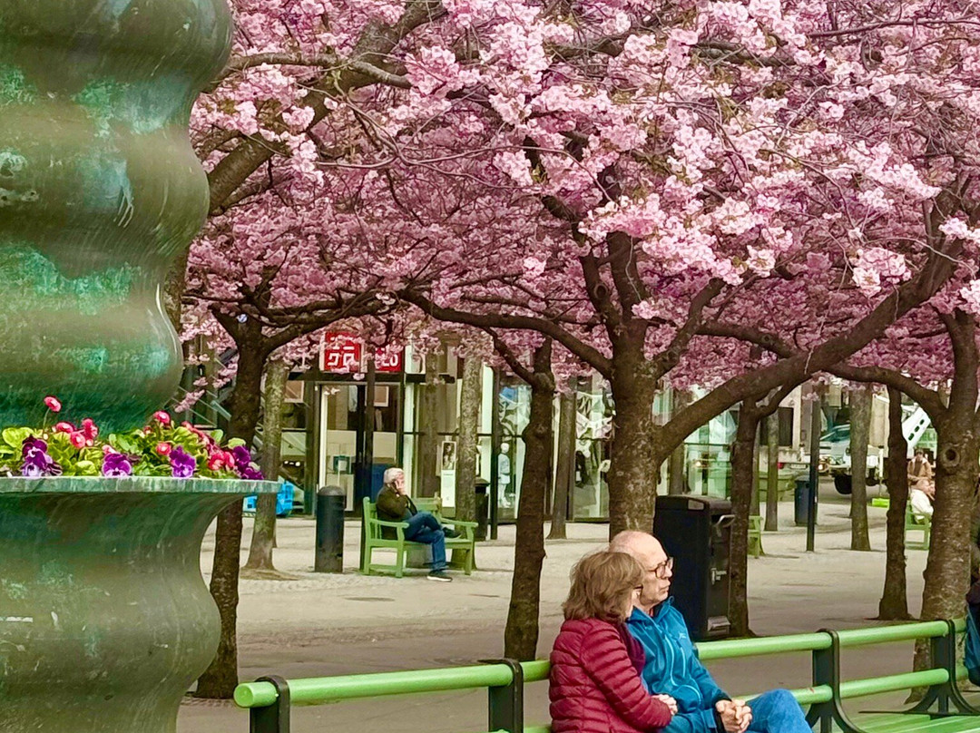 Kungsträdgården-斯德哥尔摩必去景点