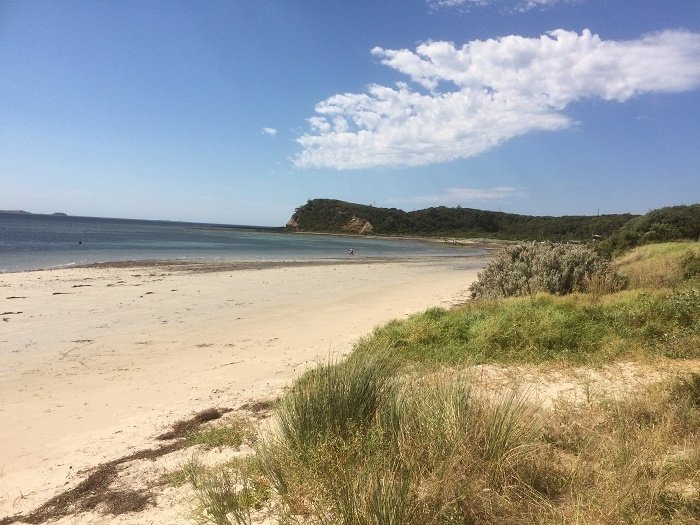 Flinders Beach-弗林德斯必去景点