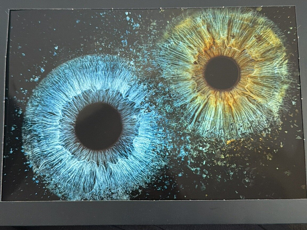 Eyemazy Amsterdam-阿姆斯特丹必去景点