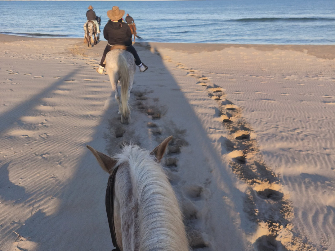 Family Horses 373-5361953-Marina di Ginosa必去景点