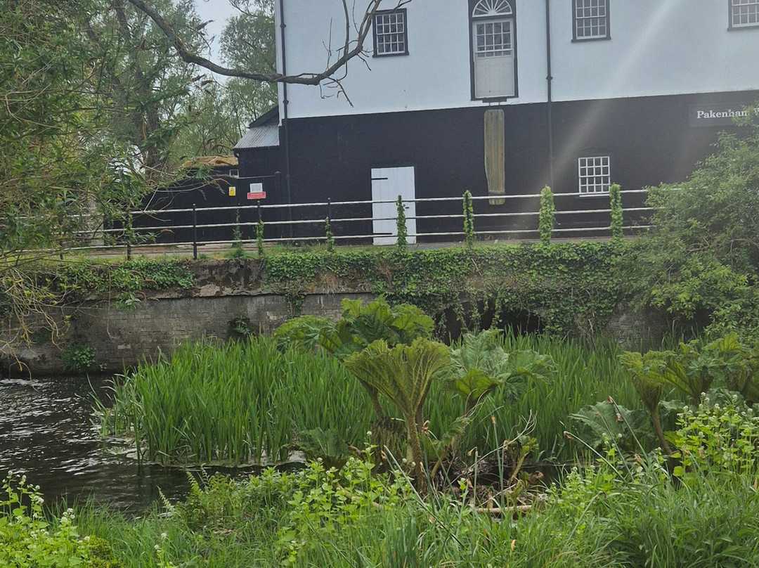 The Cabin